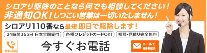 �V���A��110�Ԃɂ���