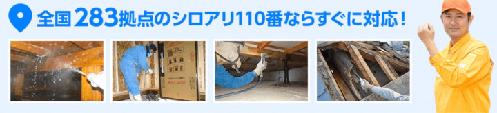 �V���A��110�Ԃɂ���