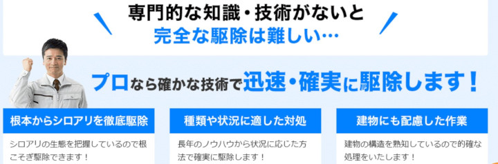 �V���A��110�Ԃɂ���